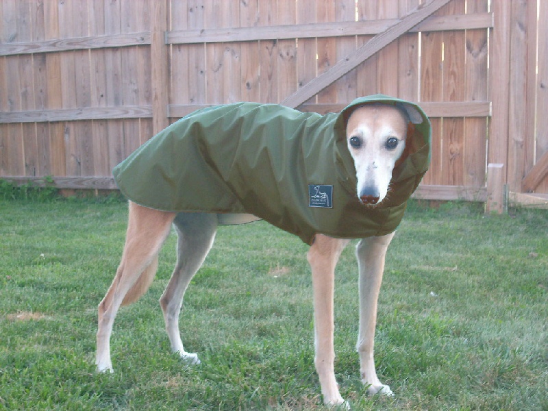 greyhound rain jacket