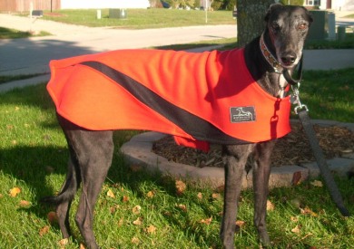 Greyt coats hotsell