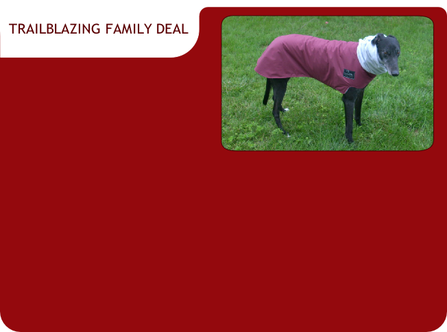 TRAILBLAZING FAMILY DEAL
