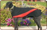 Greyhound Fleeces