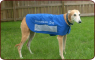 Greyhound Vests