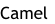 Camel
