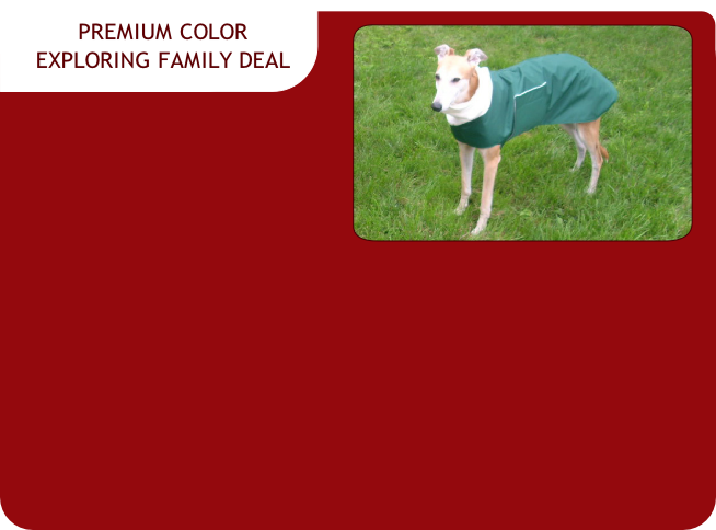 PREMIUM COLOR
EXPLORING FAMILY DEAL
